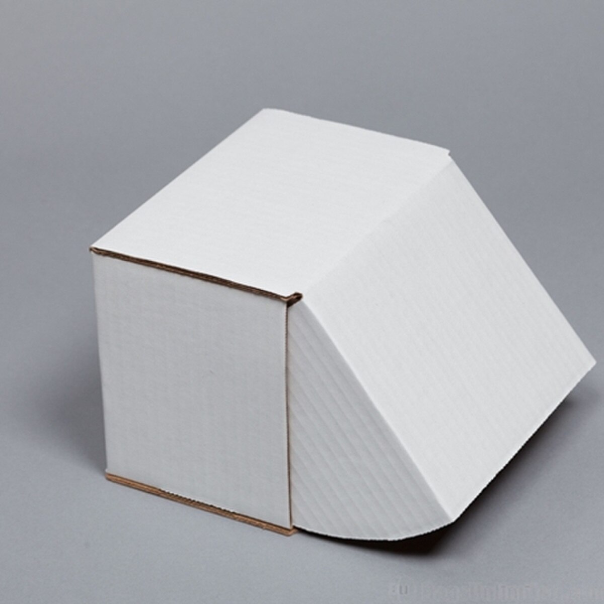 Corrugated cardboard mailer for 10